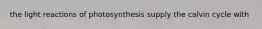 the light reactions of photosynthesis supply the calvin cycle with