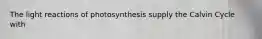 The light reactions of photosynthesis supply the Calvin Cycle with