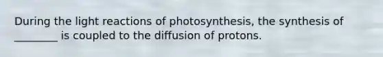 During the light reactions of photosynthesis, the synthesis of ________ is coupled to the diffusion of protons.