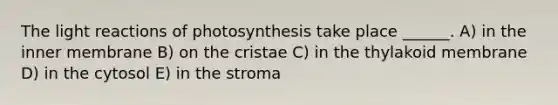 The light reactions of photosynthesis take place ______. A) in the inner membrane B) on the cristae C) in the thylakoid membrane D) in the cytosol E) in the stroma