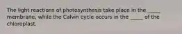 The light reactions of photosynthesis take place in the _____ membrane, while the Calvin cycle occurs in the _____ of the chloroplast.