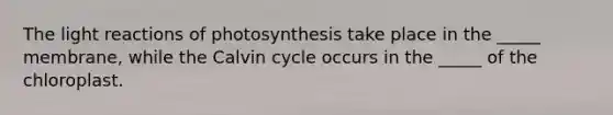 The light reactions of photosynthesis take place in the _____ membrane, while the Calvin cycle occurs in the _____ of the chloroplast.