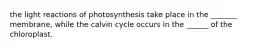 the light reactions of photosynthesis take place in the _______ membrane, while the calvin cycle occurs in the ______ of the chloroplast.