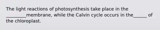 The light reactions of photosynthesis take place in the _________membrane, while the Calvin cycle occurs in the______ of the chloroplast.