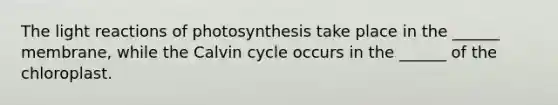 The light reactions of photosynthesis take place in the ______ membrane, while the Calvin cycle occurs in the ______ of the chloroplast.