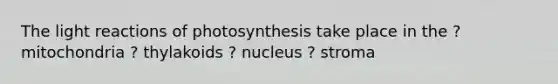 The light reactions of photosynthesis take place in the ? mitochondria ? thylakoids ? nucleus ? stroma