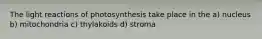 The light reactions of photosynthesis take place in the a) nucleus b) mitochondria c) thylakoids d) stroma