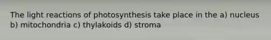 The light reactions of photosynthesis take place in the a) nucleus b) mitochondria c) thylakoids d) stroma