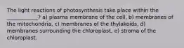 The light reactions of photosynthesis take place within the ____________? a) plasma membrane of the cell, b) membranes of the mitochondria, c) membranes of the thylakoids, d) membranes surrounding the chloroplast, e) stroma of the chloroplast.