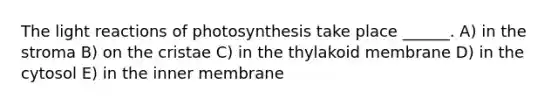 The light reactions of photosynthesis take place ______. A) in the stroma B) on the cristae C) in the thylakoid membrane D) in the cytosol E) in the inner membrane