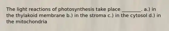 The <a href='https://www.questionai.com/knowledge/kSUoWrrvoC-light-reactions' class='anchor-knowledge'>light reactions</a> of photosynthesis take place ________. a.) in the thylakoid membrane b.) in the stroma c.) in the cytosol d.) in the mitochondria