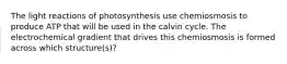 The light reactions of photosynthesis use chemiosmosis to produce ATP that will be used in the calvin cycle. The electrochemical gradient that drives this chemiosmosis is formed across which structure(s)?