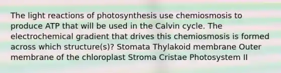 The light reactions of photosynthesis use chemiosmosis to produce ATP that will be used in the Calvin cycle. The electrochemical gradient that drives this chemiosmosis is formed across which structure(s)? Stomata Thylakoid membrane Outer membrane of the chloroplast Stroma Cristae Photosystem II