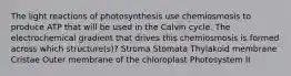 The light reactions of photosynthesis use chemiosmosis to produce ATP that will be used in the Calvin cycle. The electrochemical gradient that drives this chemiosmosis is formed across which structure(s)? Stroma Stomata Thylakoid membrane Cristae Outer membrane of the chloroplast Photosystem II