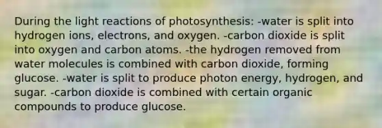 During the <a href='https://www.questionai.com/knowledge/kSUoWrrvoC-light-reactions' class='anchor-knowledge'>light reactions</a> of photosynthesis: -water is split into hydrogen ions, electrons, and oxygen. -carbon dioxide is split into oxygen and carbon atoms. -the hydrogen removed from water molecules is combined with carbon dioxide, forming glucose. -water is split to produce photon energy, hydrogen, and sugar. -carbon dioxide is combined with certain <a href='https://www.questionai.com/knowledge/kSg4ucUAKW-organic-compounds' class='anchor-knowledge'>organic compounds</a> to produce glucose.