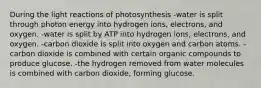 During the light reactions of photosynthesis -water is split through photon energy into hydrogen ions, electrons, and oxygen. -water is split by ATP into hydrogen ions, electrons, and oxygen. -carbon dioxide is split into oxygen and carbon atoms. -carbon dioxide is combined with certain organic compounds to produce glucose. -the hydrogen removed from water molecules is combined with carbon dioxide, forming glucose.