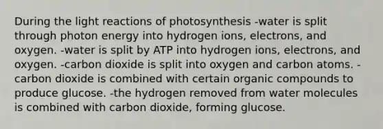 During the light reactions of photosynthesis -water is split through photon energy into hydrogen ions, electrons, and oxygen. -water is split by ATP into hydrogen ions, electrons, and oxygen. -carbon dioxide is split into oxygen and carbon atoms. -carbon dioxide is combined with certain organic compounds to produce glucose. -the hydrogen removed from water molecules is combined with carbon dioxide, forming glucose.