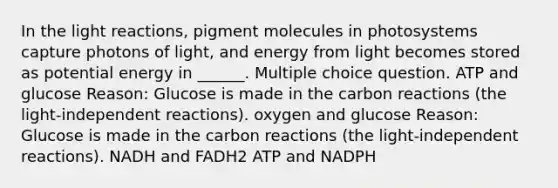 In the light reactions, pigment molecules in photosystems capture photons of light, and energy from light becomes stored as potential energy in ______. Multiple choice question. ATP and glucose Reason: Glucose is made in the carbon reactions (the light-independent reactions). oxygen and glucose Reason: Glucose is made in the carbon reactions (the light-independent reactions). NADH and FADH2 ATP and NADPH