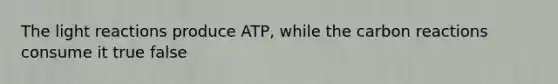 The light reactions produce ATP, while the carbon reactions consume it true false