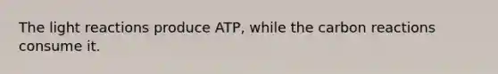 The light reactions produce ATP, while the carbon reactions consume it.