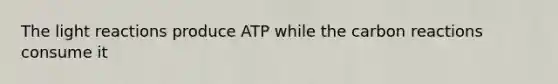 The <a href='https://www.questionai.com/knowledge/kSUoWrrvoC-light-reactions' class='anchor-knowledge'>light reactions</a> produce ATP while the carbon reactions consume it