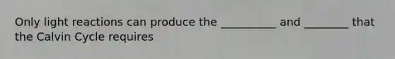 Only light reactions can produce the __________ and ________ that the Calvin Cycle requires