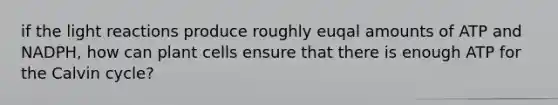 if the <a href='https://www.questionai.com/knowledge/kSUoWrrvoC-light-reactions' class='anchor-knowledge'>light reactions</a> produce roughly euqal amounts of ATP and NADPH, how can plant cells ensure that there is enough ATP for the Calvin cycle?