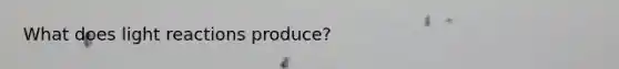 What does light reactions produce?