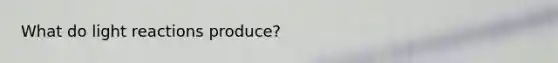 What do light reactions produce?