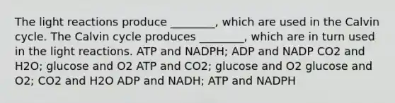 The light reactions produce ________, which are used in the Calvin cycle. The Calvin cycle produces ________, which are in turn used in the light reactions. ATP and NADPH; ADP and NADP CO2 and H2O; glucose and O2 ATP and CO2; glucose and O2 glucose and O2; CO2 and H2O ADP and NADH; ATP and NADPH