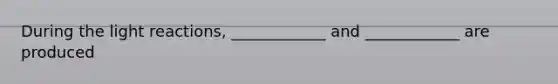 During the light reactions, ____________ and ____________ are produced