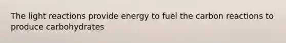 The <a href='https://www.questionai.com/knowledge/kSUoWrrvoC-light-reactions' class='anchor-knowledge'>light reactions</a> provide energy to fuel the carbon reactions to produce carbohydrates