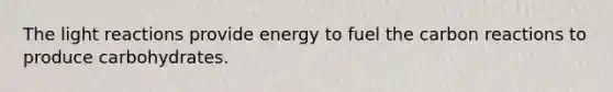 The <a href='https://www.questionai.com/knowledge/kSUoWrrvoC-light-reactions' class='anchor-knowledge'>light reactions</a> provide energy to fuel the carbon reactions to produce carbohydrates.