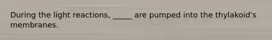 During the light reactions, _____ are pumped into the thylakoid's membranes.