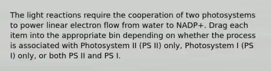 The light reactions require the cooperation of two photosystems to power linear electron flow from water to NADP+. Drag each item into the appropriate bin depending on whether the process is associated with Photosystem II (PS II) only, Photosystem I (PS I) only, or both PS II and PS I.