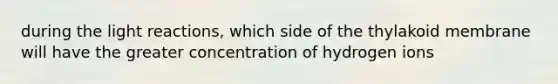 during the light reactions, which side of the thylakoid membrane will have the greater concentration of hydrogen ions