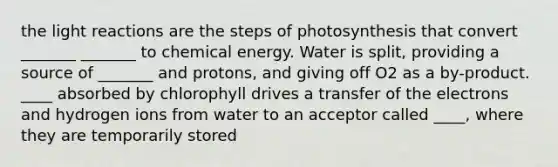 the light reactions are the steps of photosynthesis that convert _______ _______ to chemical energy. Water is split, providing a source of _______ and protons, and giving off O2 as a by-product. ____ absorbed by chlorophyll drives a transfer of the electrons and hydrogen ions from water to an acceptor called ____, where they are temporarily stored