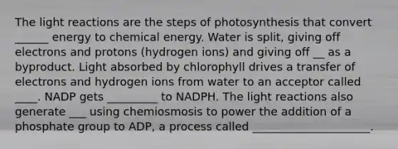 The light reactions are the steps of photosynthesis that convert ______ energy to chemical energy. Water is split, giving off electrons and protons (hydrogen ions) and giving off __ as a byproduct. Light absorbed by chlorophyll drives a transfer of electrons and hydrogen ions from water to an acceptor called ____. NADP gets _________ to NADPH. The light reactions also generate ___ using chemiosmosis to power the addition of a phosphate group to ADP, a process called _____________________.