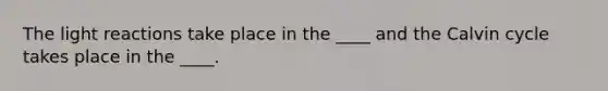 The light reactions take place in the ____ and the Calvin cycle takes place in the ____.