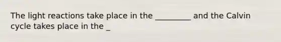 The light reactions take place in the _________ and the Calvin cycle takes place in the _