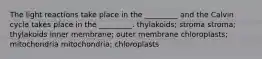 The light reactions take place in the _________ and the Calvin cycle takes place in the _________. thylakoids; stroma stroma; thylakoids inner membrane; outer membrane chloroplasts; mitochondria mitochondria; chloroplasts