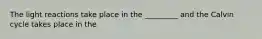 The light reactions take place in the _________ and the Calvin cycle takes place in the