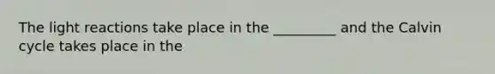 The light reactions take place in the _________ and the Calvin cycle takes place in the