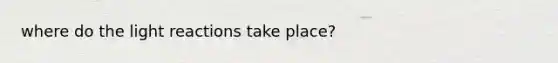 where do the light reactions take place?