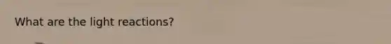 What are the <a href='https://www.questionai.com/knowledge/kSUoWrrvoC-light-reactions' class='anchor-knowledge'>light reactions</a>?