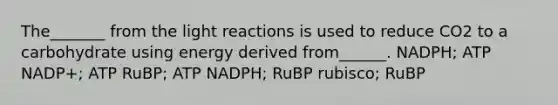 The_______ from the <a href='https://www.questionai.com/knowledge/kSUoWrrvoC-light-reactions' class='anchor-knowledge'>light reactions</a> is used to reduce CO2 to a carbohydrate using energy derived from______. NADPH; ATP NADP+; ATP RuBP; ATP NADPH; RuBP rubisco; RuBP