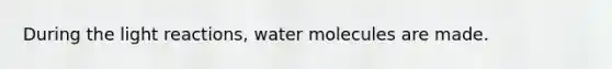 During the <a href='https://www.questionai.com/knowledge/kSUoWrrvoC-light-reactions' class='anchor-knowledge'>light reactions</a>, water molecules are made.