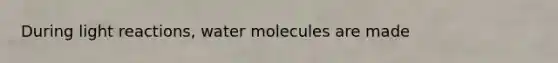 During <a href='https://www.questionai.com/knowledge/kSUoWrrvoC-light-reactions' class='anchor-knowledge'>light reactions</a>, water molecules are made