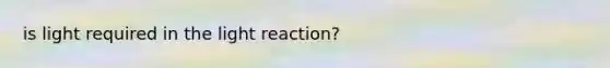 is light required in the light reaction?