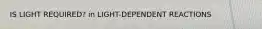 IS LIGHT REQUIRED? in LIGHT-DEPENDENT REACTIONS